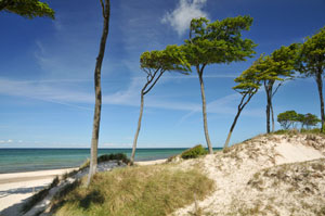 Strand auf Fischland Darß Zingst